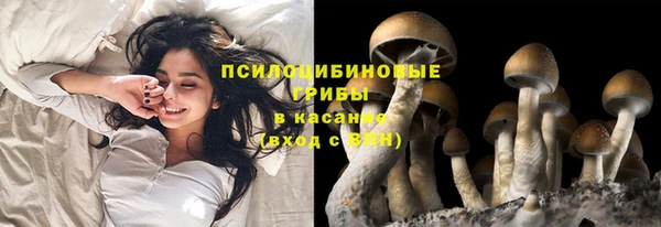 ECSTASY Михайлов
