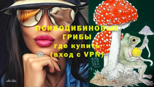 ECSTASY Михайлов