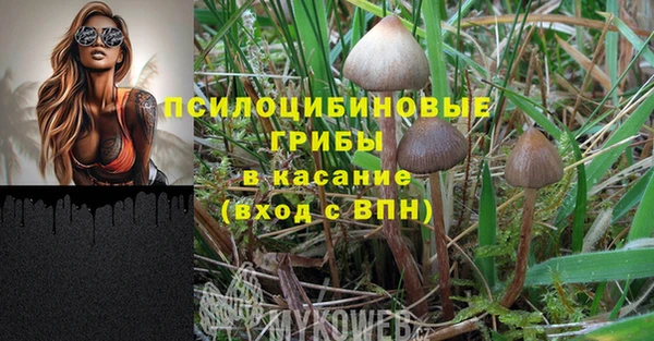 эйфоретик Абаза