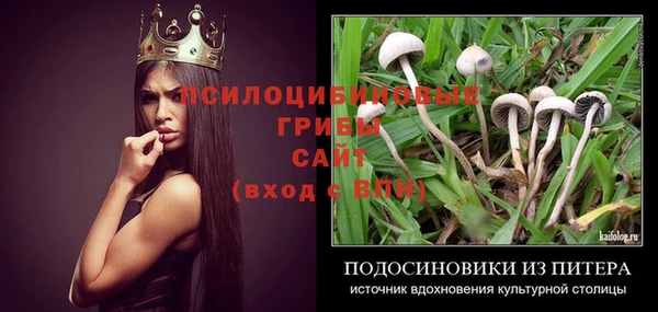 эйфоретик Абаза