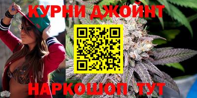 стафф Будённовск
