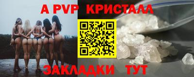 стафф Будённовск