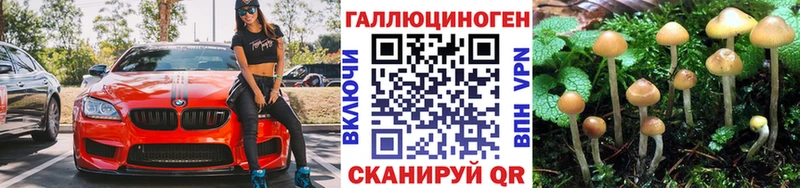 купить  цена  Воронеж  Псилоцибиновые грибы Cubensis 