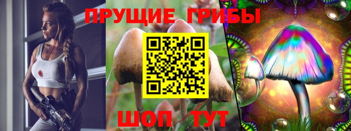 Псилоцибиновые грибы MAGIC MUSHROOMS Воронеж